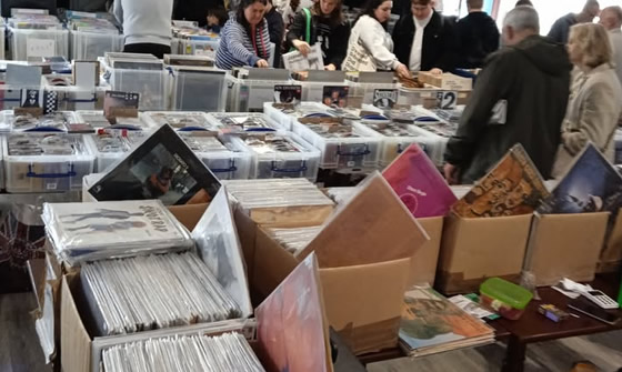 Basingstoke Record Fair